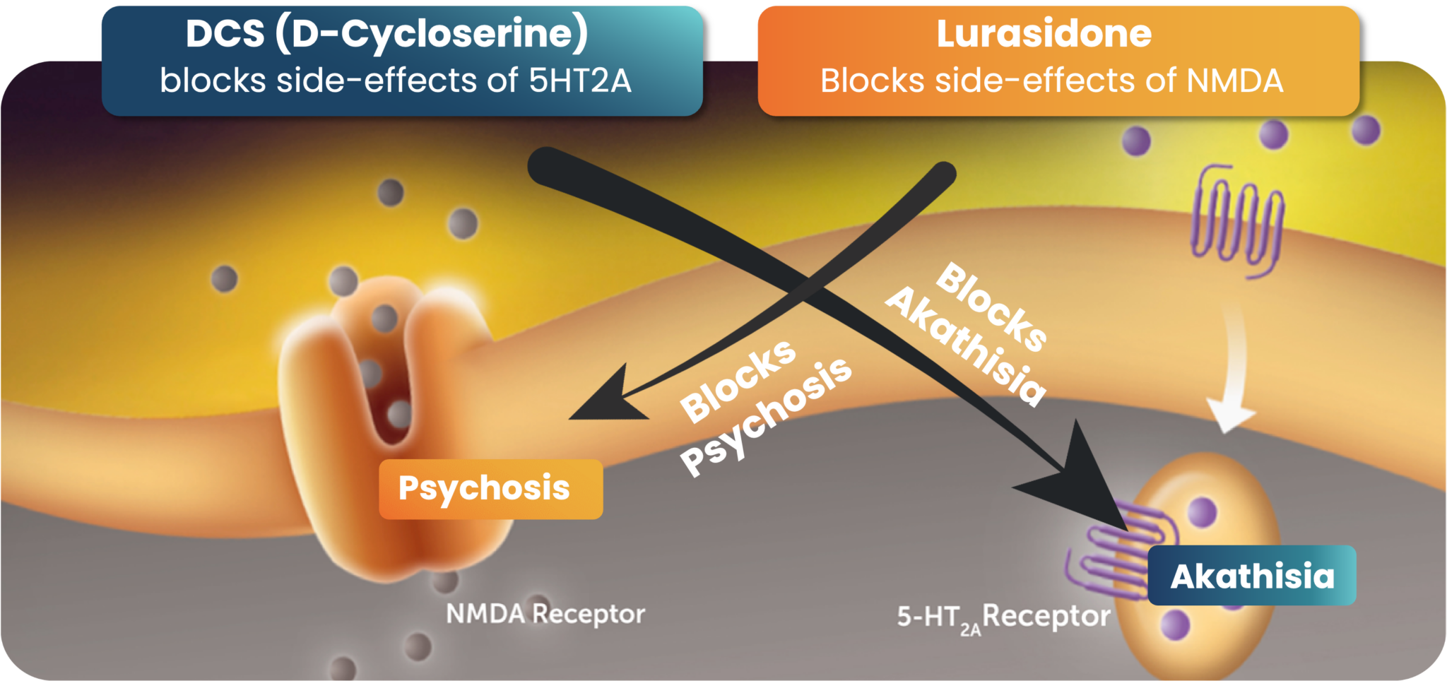 NMDA Receptors - NRx Pharmaceuticals